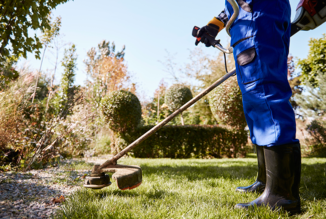 landscaping services dubai